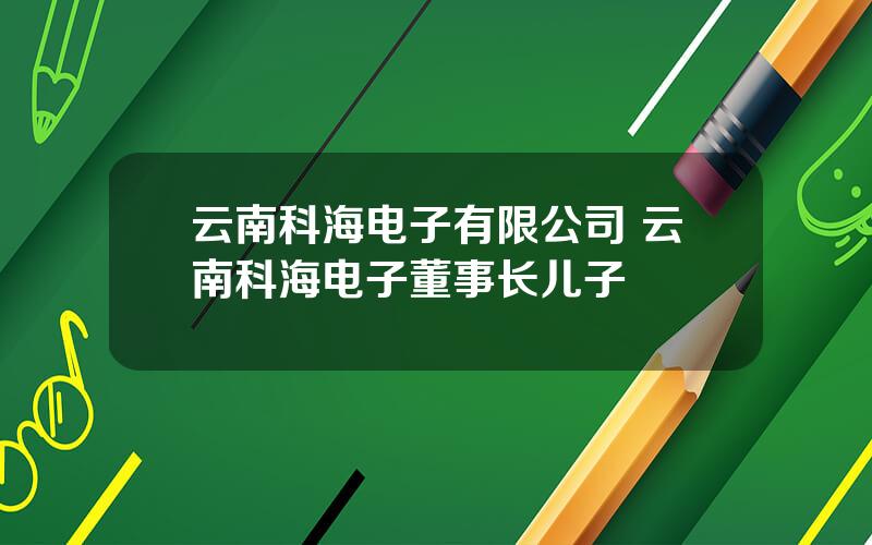 云南科海电子有限公司 云南科海电子董事长儿子